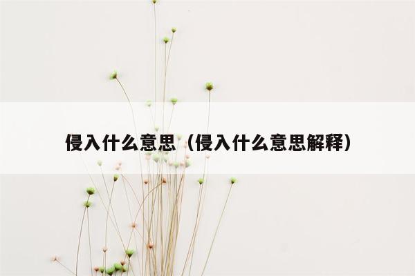 侵入什么意思（侵入什么意思解释）