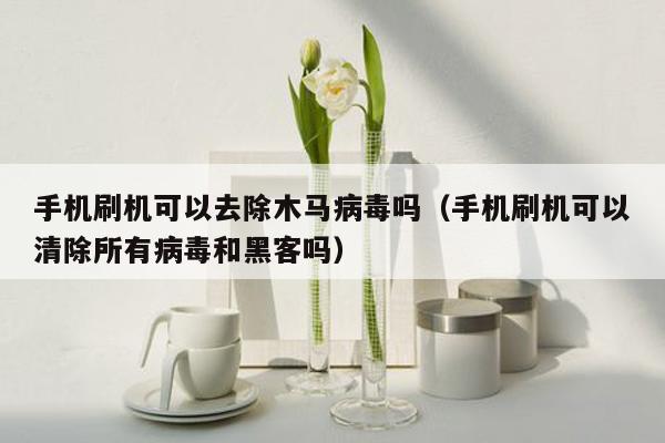 手机刷机可以去除木马病毒吗（手机刷机可以清除所有病毒和黑客吗）