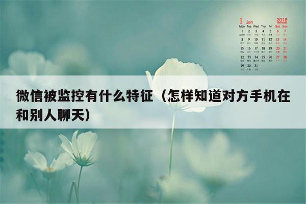 微信被监控有什么特征（怎样知道对方手机在和别人聊天）