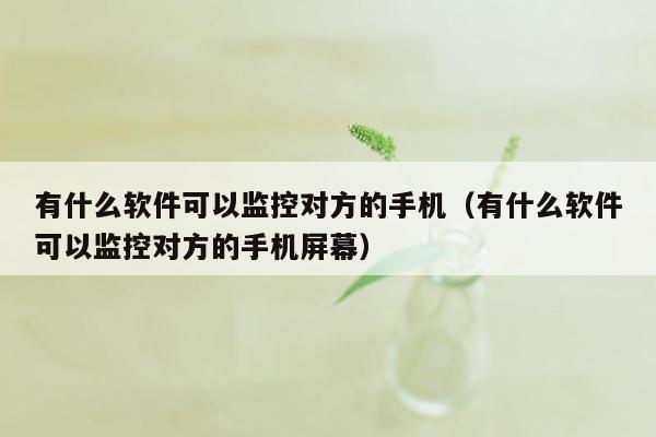 有什么软件可以监控对方的手机（有什么软件可以监控对方的手机屏幕）