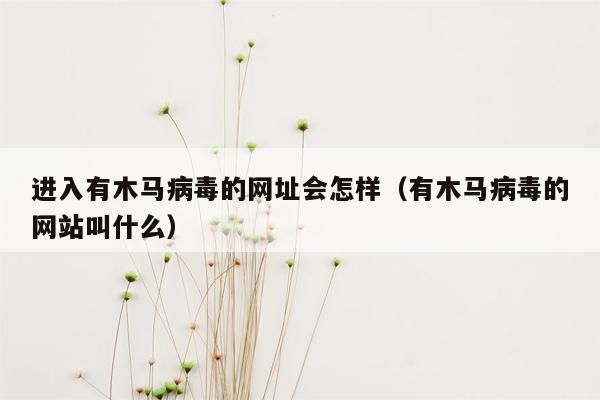 进入有木马病毒的网址会怎样（有木马病毒的网站叫什么）