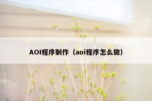 AOI程序制作（aoi程序怎么做）