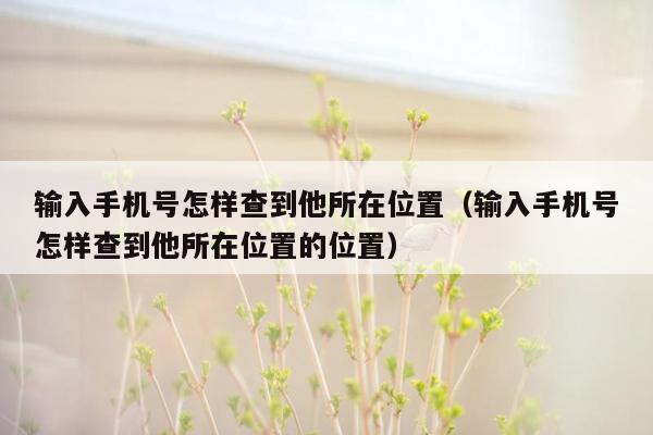 输入手机号怎样查到他所在位置（输入手机号怎样查到他所在位置的位置）