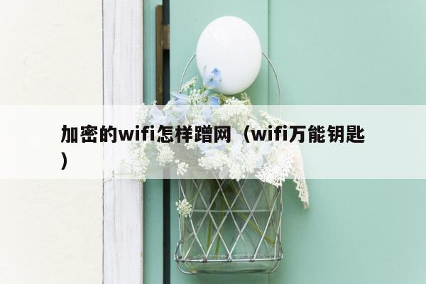 加密的wifi怎样蹭网（wifi万能钥匙）