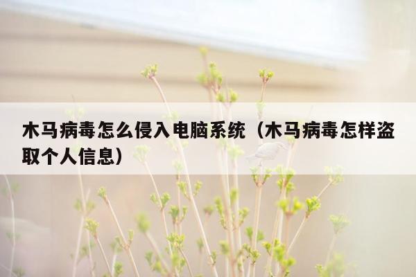 木马病毒怎么侵入电脑系统（木马病毒怎样盗取个人信息）