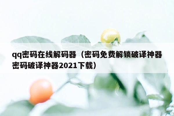 qq密码在线解码器（密码免费解锁破译神器密码破译神器2021下载）