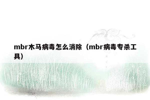 mbr木马病毒怎么消除（mbr病毒专杀工具）