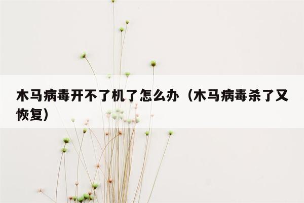 木马病毒开不了机了怎么办（木马病毒杀了又恢复）