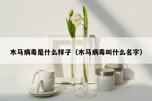 木马病毒是什么样子（木马病毒叫什么名字）