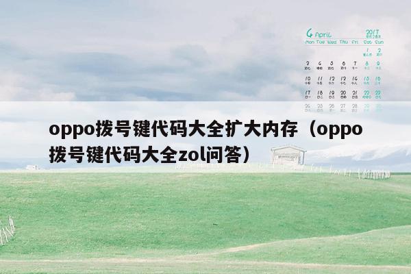 oppo拨号键代码大全扩大内存（oppo拨号键代码大全zol问答）