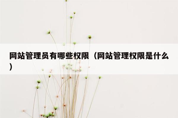 网站管理员有哪些权限（网站管理权限是什么）