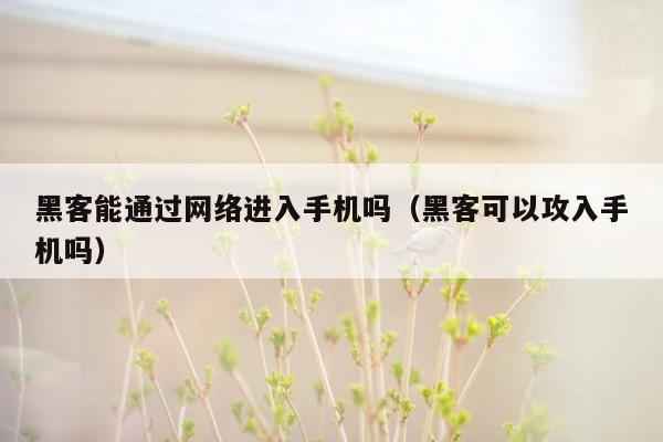 黑客能通过网络进入手机吗（黑客可以攻入手机吗）