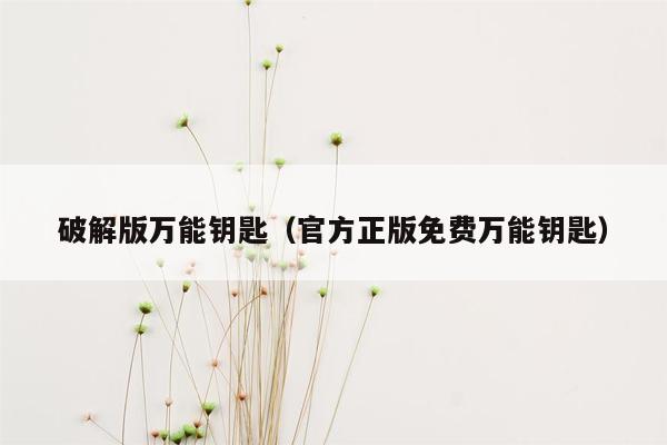 破解版万能钥匙（官方正版免费万能钥匙）