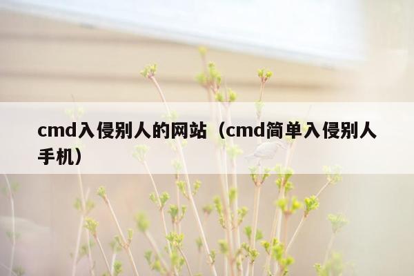 cmd入侵别人的网站（cmd简单入侵别人手机）