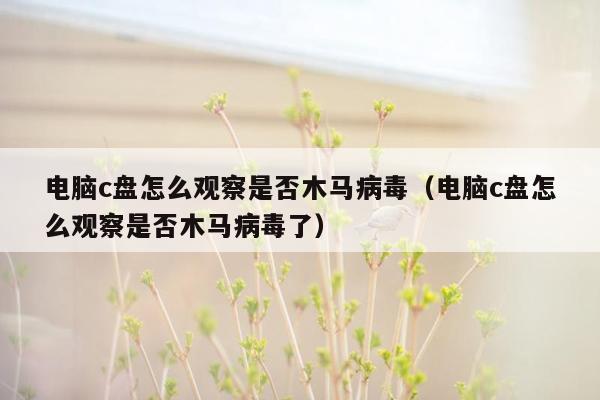 电脑c盘怎么观察是否木马病毒（电脑c盘怎么观察是否木马病毒了）