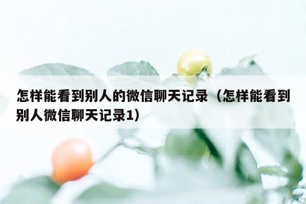 怎样能看到别人的微信聊天记录（怎样能看到别人微信聊天记录1）