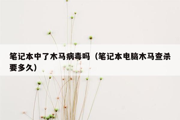 笔记本中了木马病毒吗（笔记本电脑木马查杀要多久）