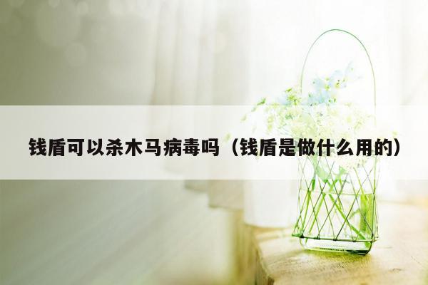 钱盾可以杀木马病毒吗（钱盾是做什么用的）