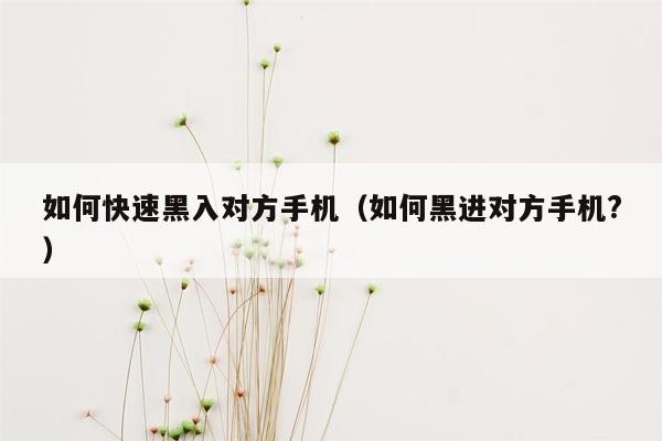 如何快速黑入对方手机（如何黑进对方手机?）