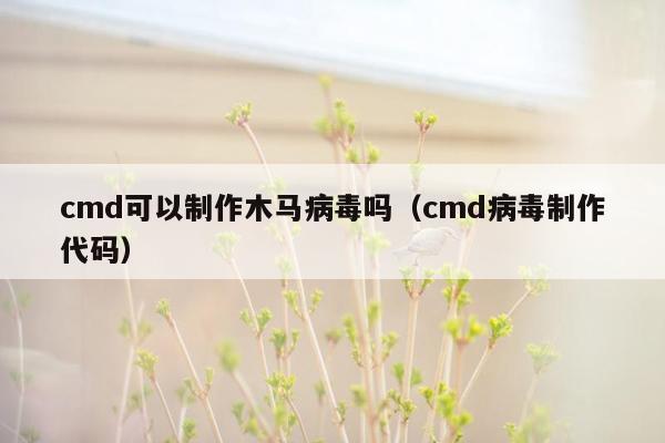 cmd可以制作木马病毒吗（cmd病毒制作代码）