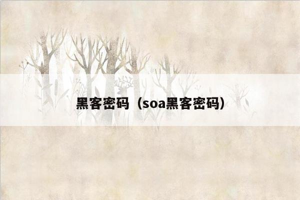 黑客密码（soa黑客密码）