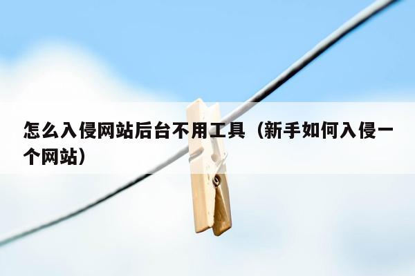 怎么入侵网站后台不用工具（新手如何入侵一个网站）