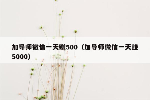 加导师微信一天赚500（加导师微信一天赚5000）