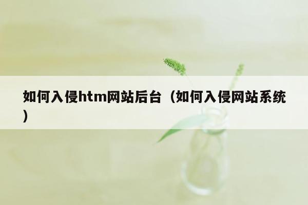 如何入侵htm网站后台（如何入侵网站系统）