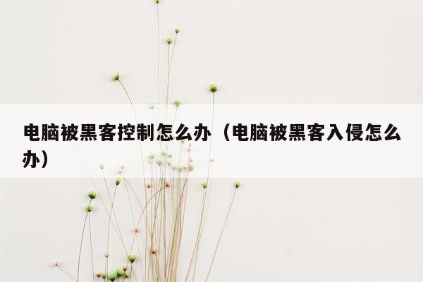 电脑被黑客控制怎么办（电脑被黑客入侵怎么办）