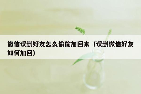 微信误删好友怎么偷偷加回来（误删微信好友如何加回）