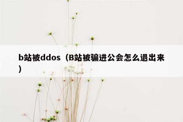 b站被ddos（B站被骗进公会怎么退出来）