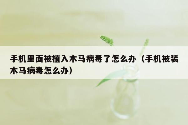 手机里面被植入木马病毒了怎么办（手机被装木马病毒怎么办）