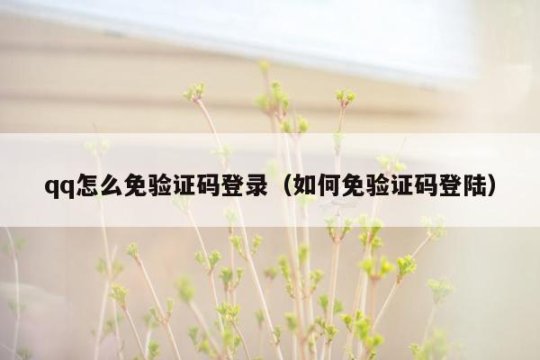 qq怎么免验证码登录（如何免验证码登陆）