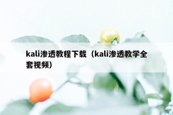 kali渗透教程下载（kali渗透教学全套视频）