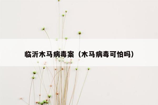 临沂木马病毒案（木马病毒可怕吗）