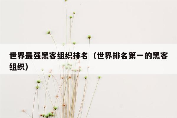 世界最强黑客组织排名（世界排名第一的黑客组织）