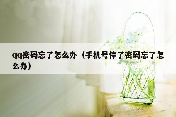 qq密码忘了怎么办（手机号停了密码忘了怎么办）