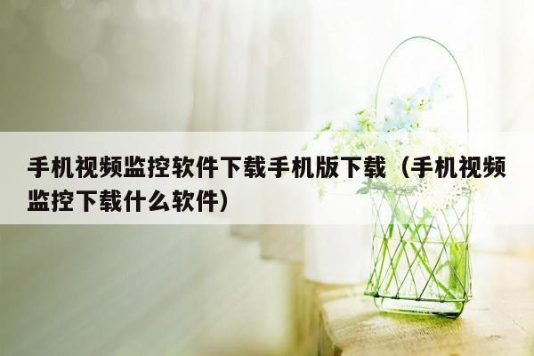 手机视频监控软件下载手机版下载（手机视频监控下载什么软件）