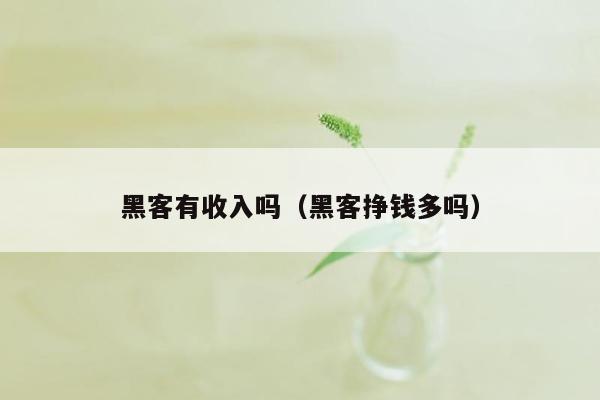 黑客有收入吗（黑客挣钱多吗）