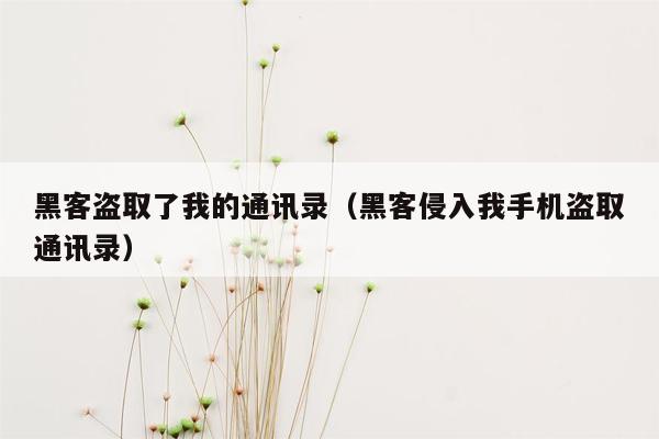 黑客盗取了我的通讯录（黑客侵入我手机盗取通讯录）