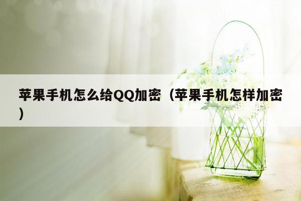 苹果手机怎么给QQ加密（苹果手机怎样加密）