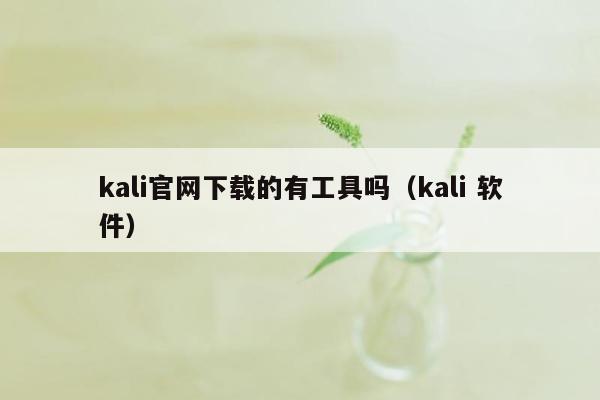 kali官网下载的有工具吗（kali 软件）