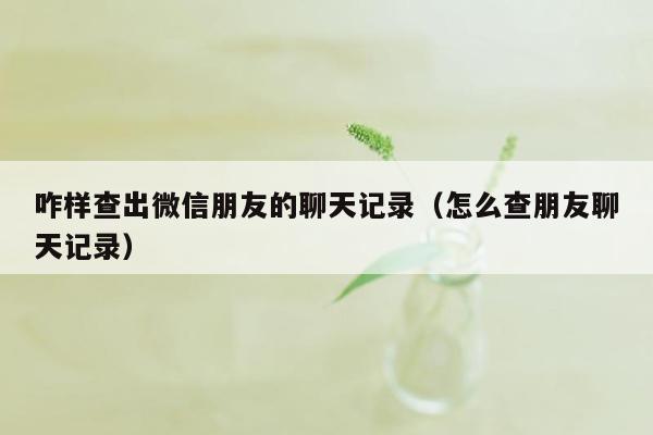 咋样查出微信朋友的聊天记录（怎么查朋友聊天记录）