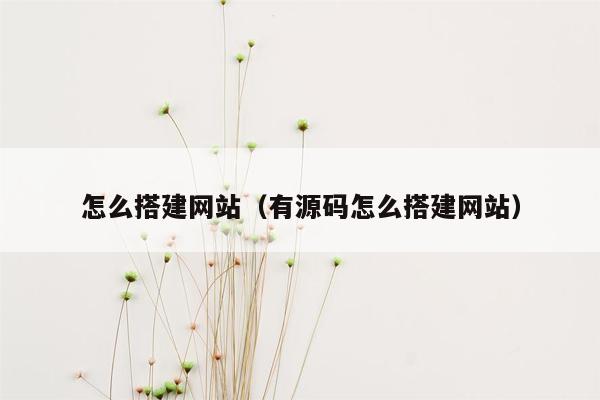 怎么搭建网站（有源码怎么搭建网站）