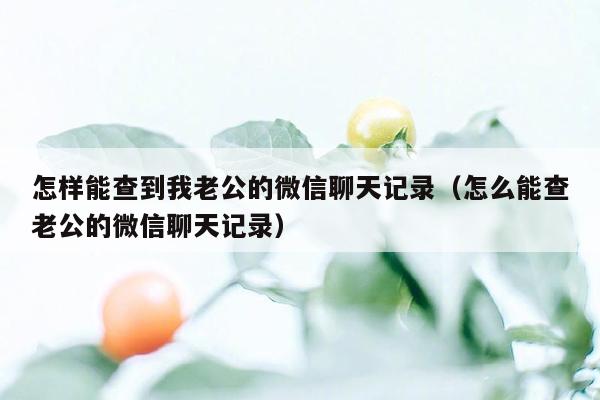 怎样能查到我老公的微信聊天记录（怎么能查老公的微信聊天记录）