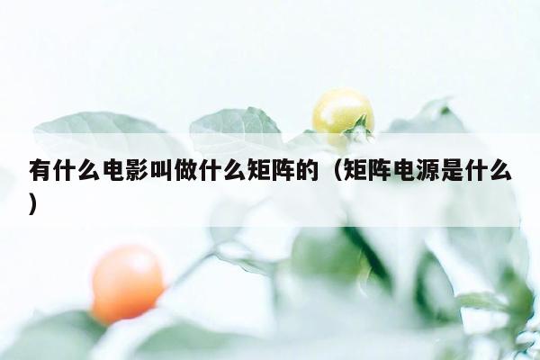 有什么电影叫做什么矩阵的（矩阵电源是什么）