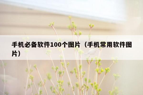 手机必备软件100个图片（手机常用软件图片）