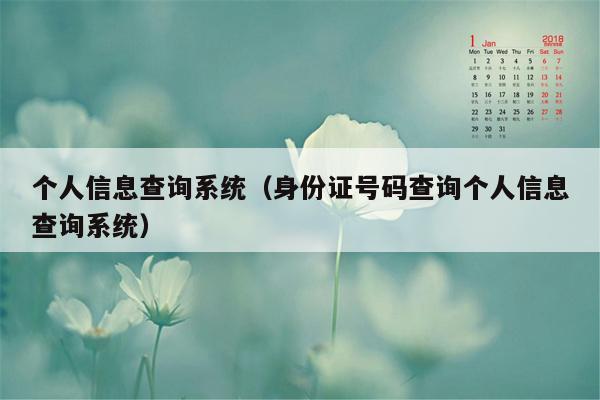 个人信息查询系统（身份证号码查询个人信息查询系统）