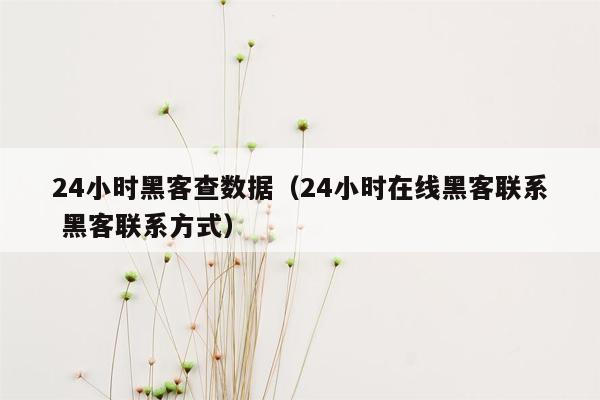 24小时黑客查数据（24小时在线黑客联系 黑客联系方式）