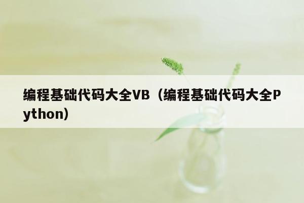 编程基础代码大全VB（编程基础代码大全Python）